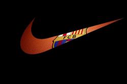 AYX体育赛事-意甲焦点战之夜，字母哥关键制胜，书写绿茵传奇