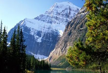 AYX官方直播-跨界统治力，从NBA的凯尔特人到德甲的爱德华兹，竞技场上的接管艺术