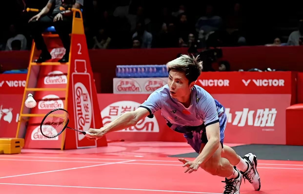 丹麦队完胜德国队，石宇奇惊艳四座的简单介绍