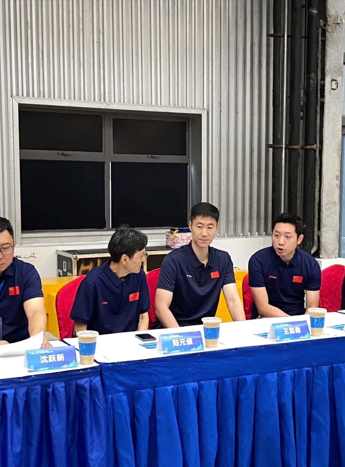 包含瑞典乒乓球队绝地反击德国乒乓球队，许昕高光表现的词条