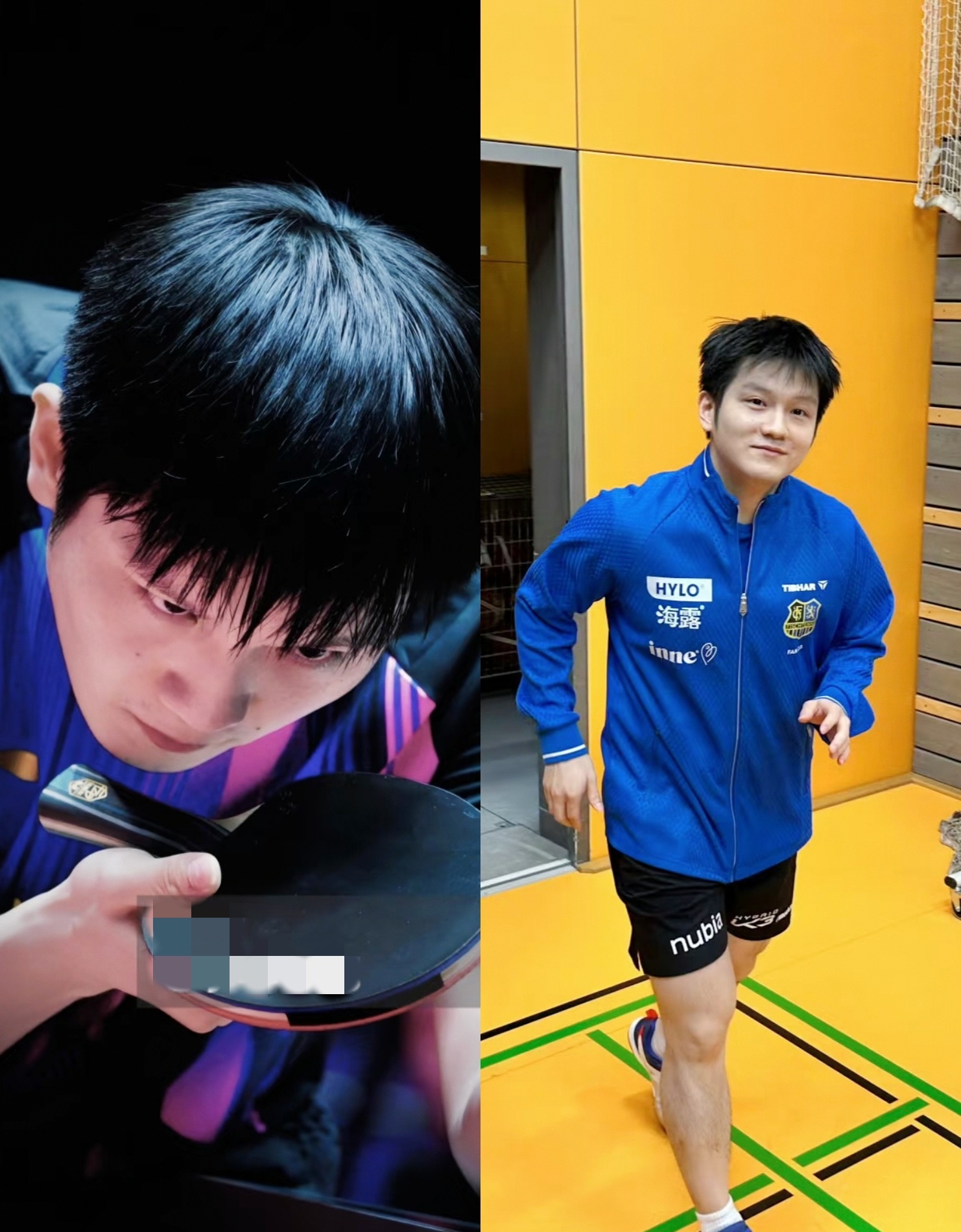 波兰队横扫奥地利队，樊振东惊艳四座的简单介绍