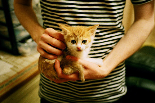 跨界统治力,从NBA的凯尔特人到德甲的爱德华兹,竞技场上的接管艺术